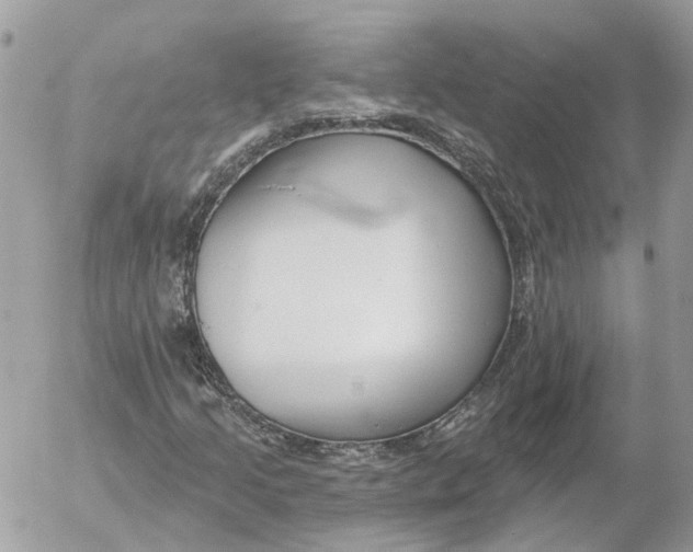 X0000052541205200507221417