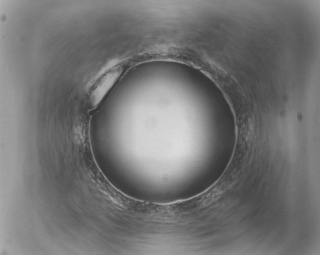 X0000052541206200507221417