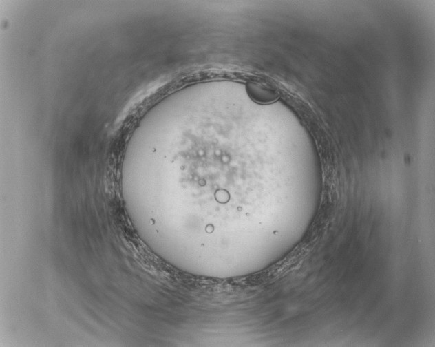 X0000052541207200507221417