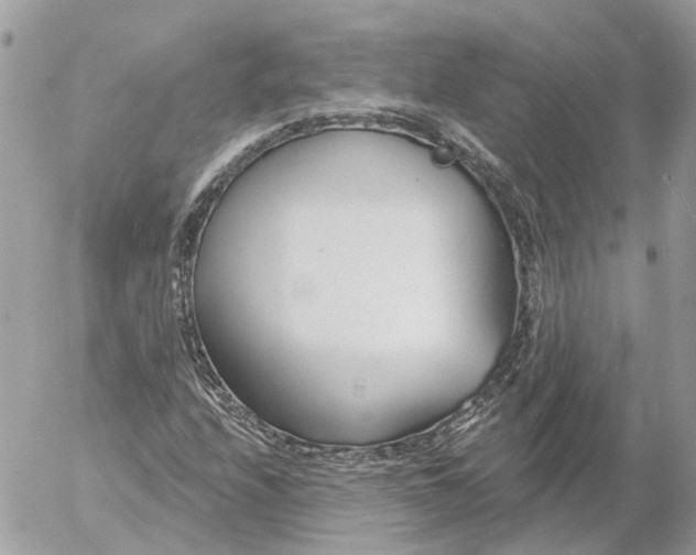 X0000052541208200507221417