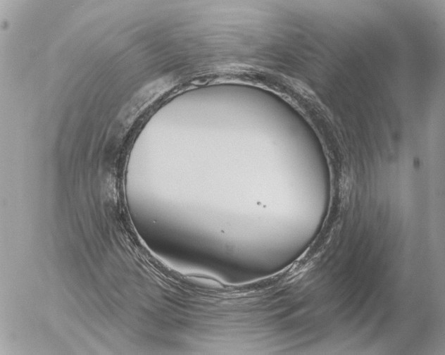 X0000052541209200507221417