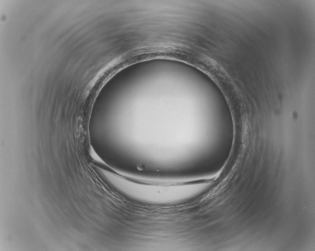 X0000052541210200507221417