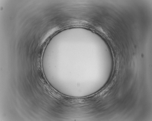 X0000052541211200507221417