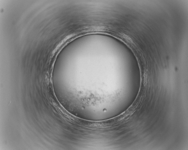 X0000052541212200507221417