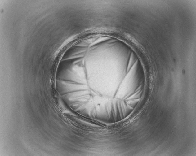 X0000052541213200507221417