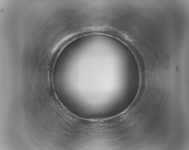 X0000052541214200507221417