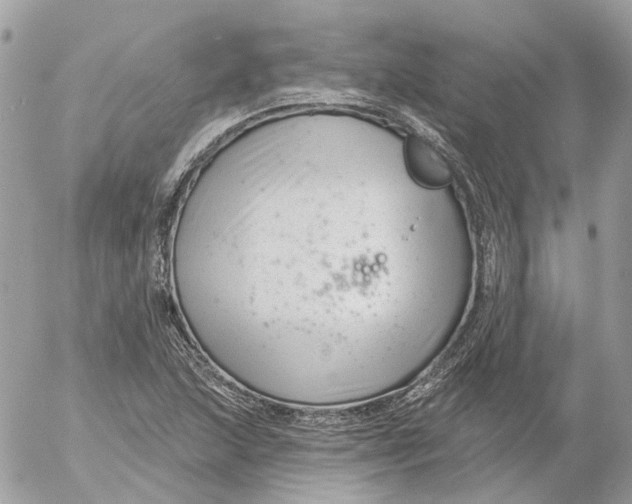 X0000052541215200507221417