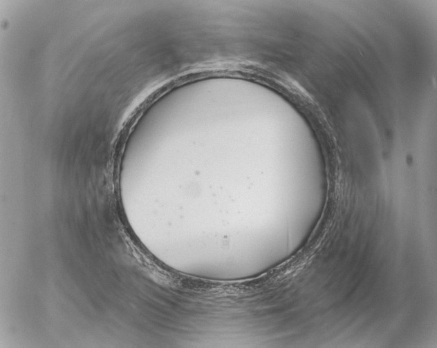 X0000052541216200507221417