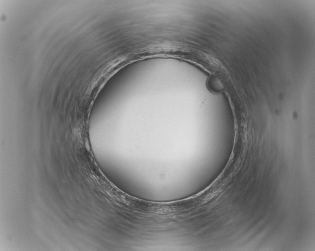 X0000052541217200507221417