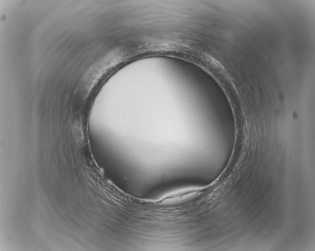 X0000052541218200507221417