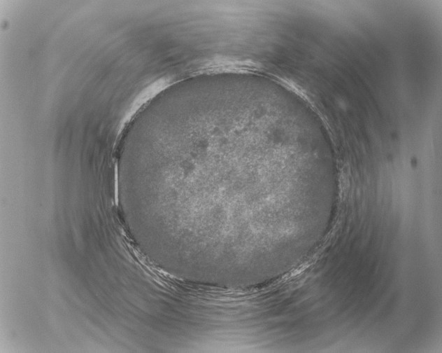 X0000052541219200507221417