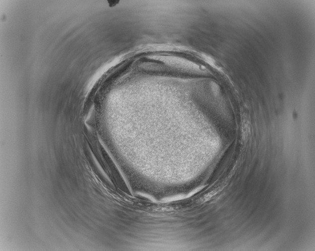 X0000052541221200507221417