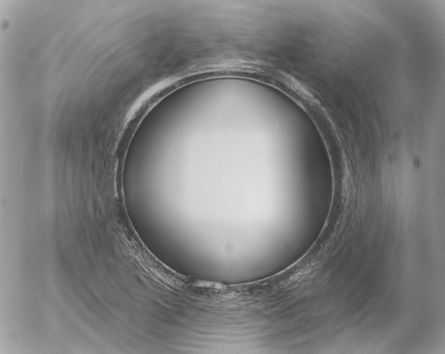 X0000052541222200507221417