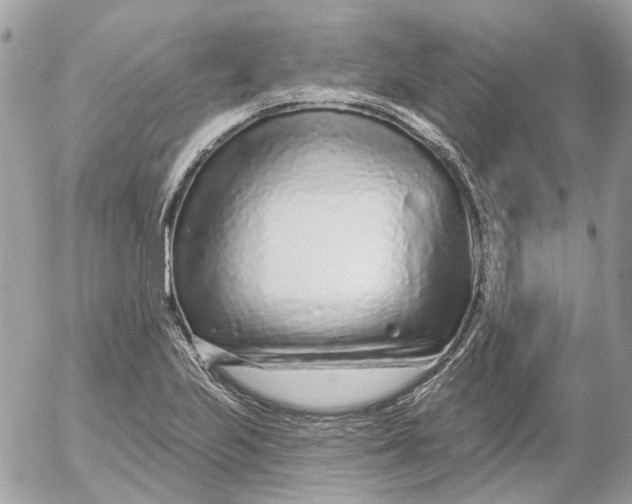 X0000052541223200507221417