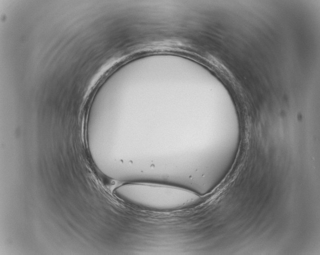 X0000052541224200507221417