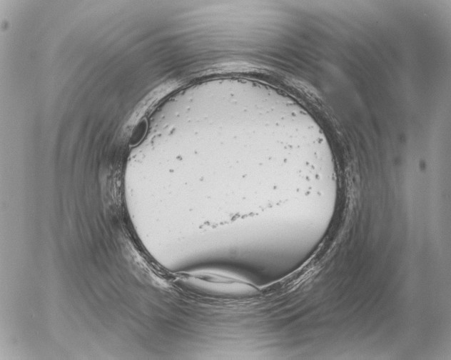 X0000052541225200507221417