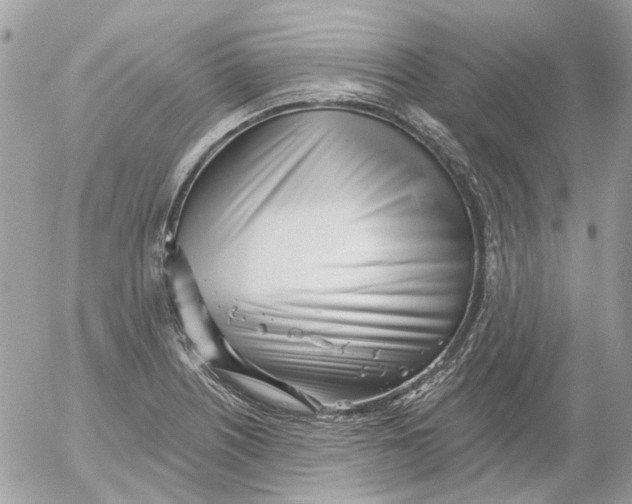 X0000052541226200507221417