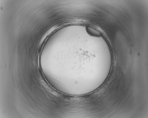 X0000052541227200507221417