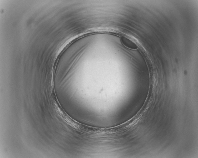 X0000052541228200507221417