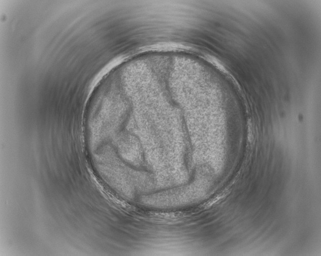 X0000052541229200507221417