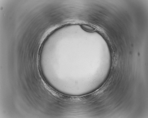 X0000052541231200507221417