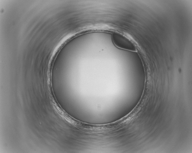 X0000052541232200507221417