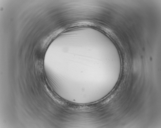 X0000052541233200507221417