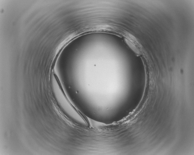 X0000052541234200507221417