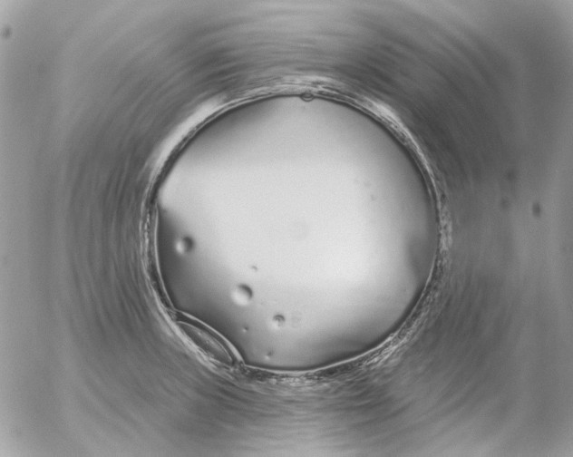 X0000052541235200507221417