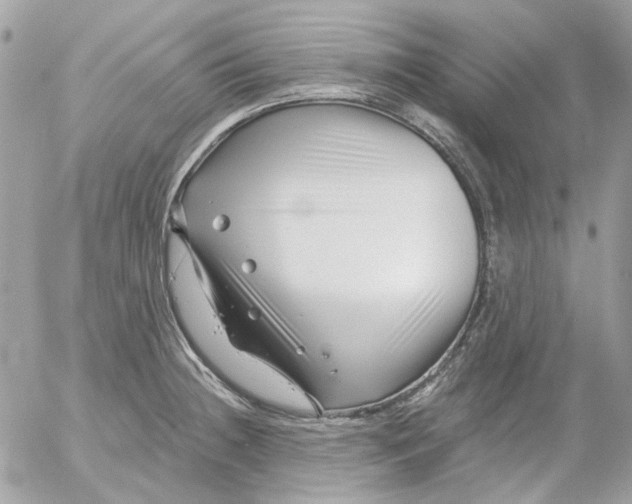 X0000052541236200507221417