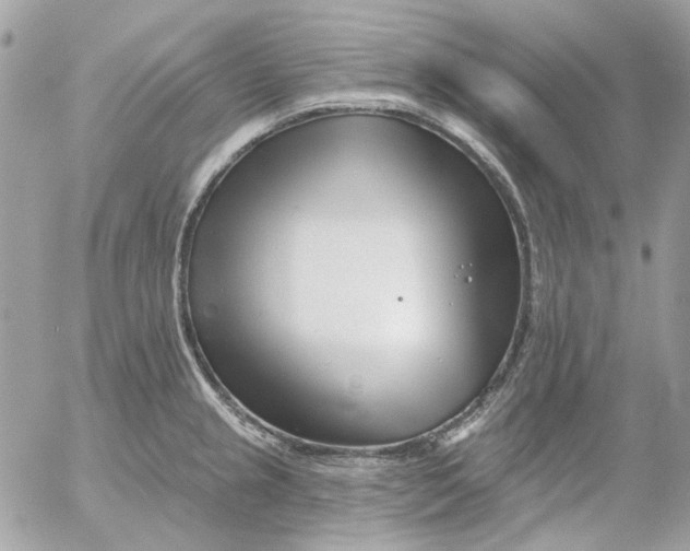 X0000052541237200507221417