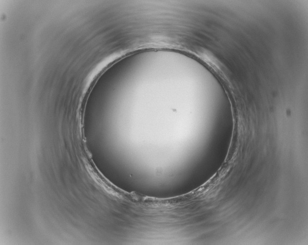 X0000052541238200507221417