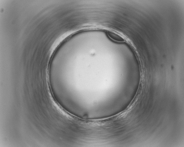 X0000052541239200507221417