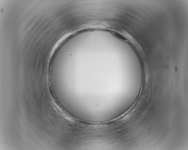 X0000052541240200507221417