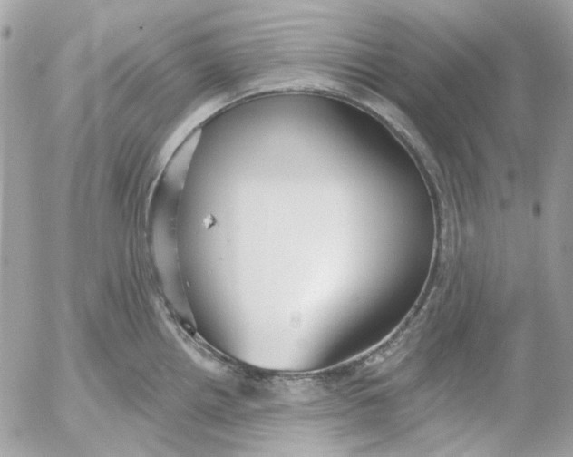 X0000052541242200507221417