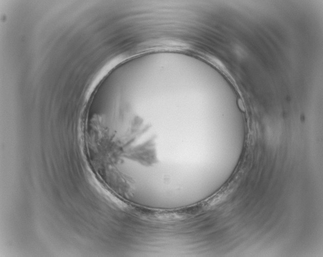 X0000052541243200507221417