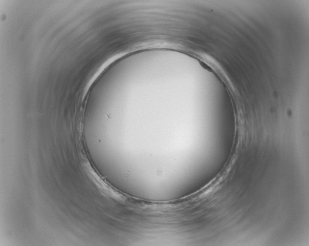 X0000052541244200507221417