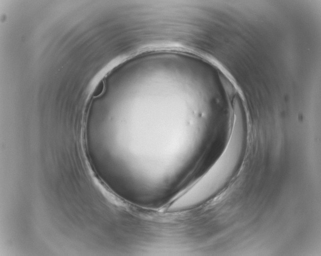 X0000052541245200507221417