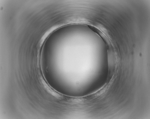 X0000052541246200507221418