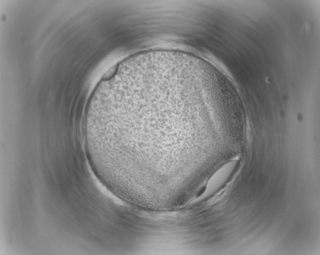 X0000052541247200507221418