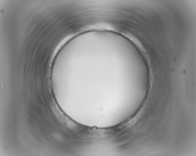 X0000052541248200507221418