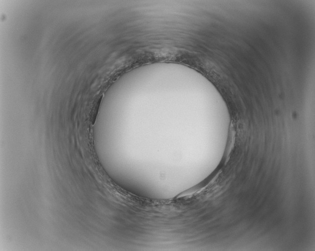 X0000052541249200507221417