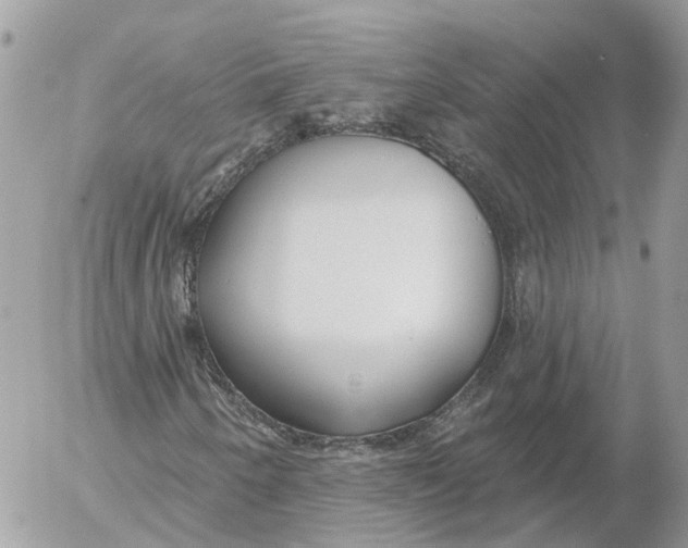 X0000052541250200507221417