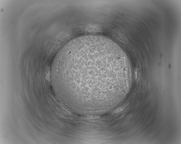 X0000052541251200507221417