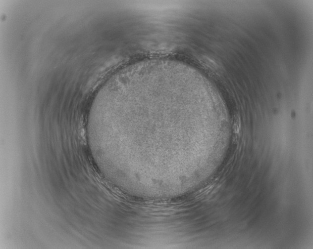 X0000052541252200507221417