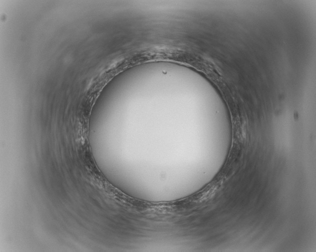 X0000052541253200507221417