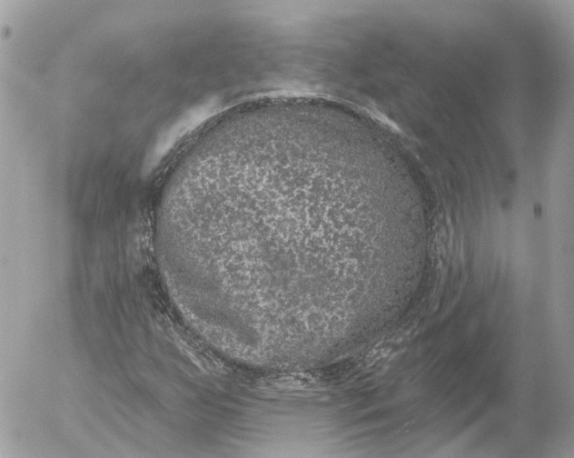 X0000052541255200507221417