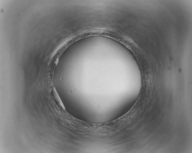 X0000052541256200507221417