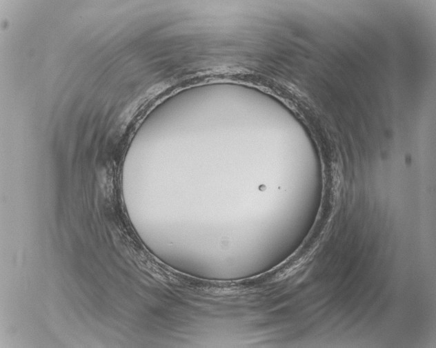 X0000052541257200507221417