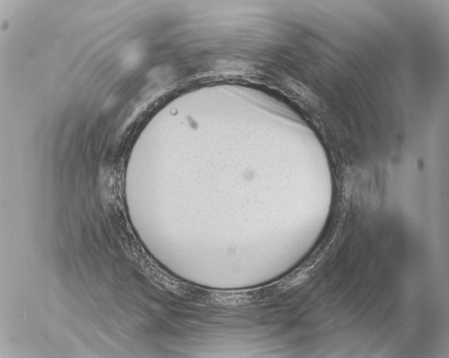 X0000052541258200507221417